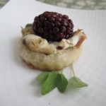 Fish Tart Fish Tart