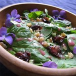 Sansa Salad Sansa Salad