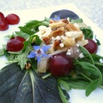 Summer Greens with Fennel and Grapes Summer Greens with Fennel and Grapes