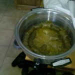 Josh W's Grapeleaves