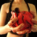Horse Heart Cupcake Horse Heart Cupcake