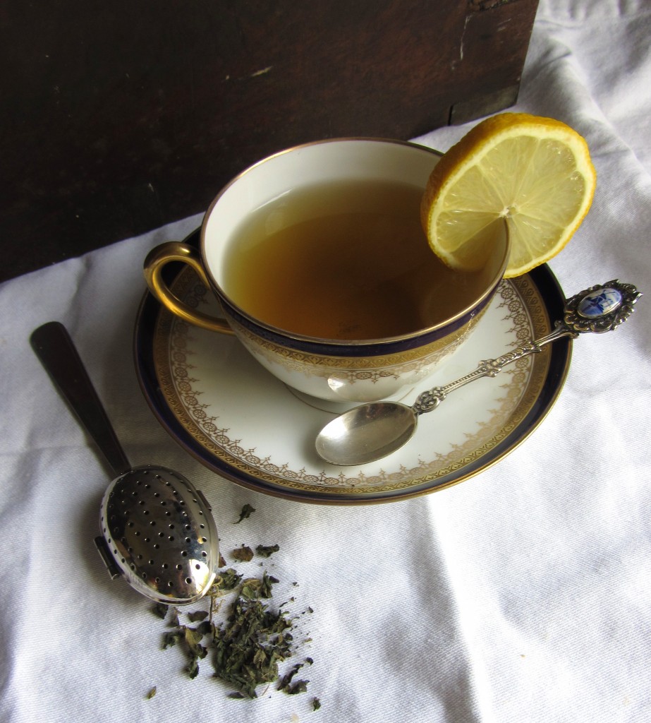 Nettle Tea